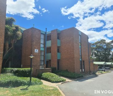 9A/62 Wattle Street, Lyneham ACT 2602 - Apartment For Rent | Domain - Photo 6