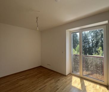 Wohntraum: Tolle 2-Zimmerwohnung in Bestlage - Foto 1