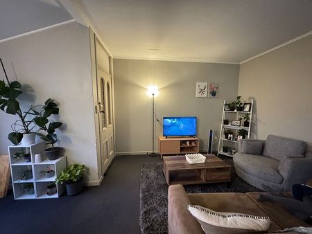 large 3 bedroom sunny apartment in Mt Vic - Photo 5