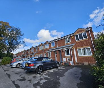 2 bed Apartment - To Let - Photo 6