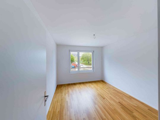 3.5 Zimmer, 102 m², 1. Stock - Foto 1