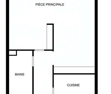 Rare au coeur des Eaux-Vives - côté cour - Photo 4