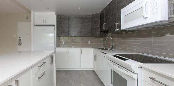 Studio - 50 Avenue Willowdale, Montréal - Photo 2