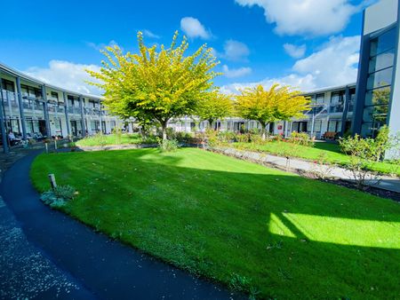 168 Stanmore Road, Linwood - Photo 5