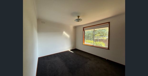 A Compact Little Gem - Photo 1