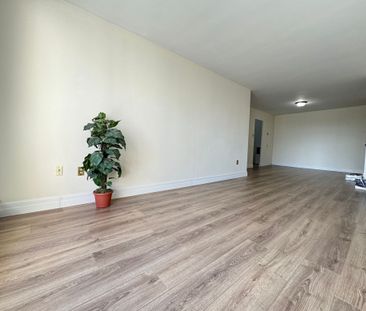 For Lease - 563 Mornington Avenue Unit# 506, London East, Ontario - Photo 3