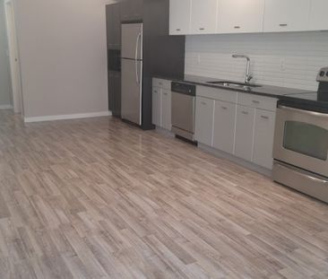 2 Bedroom Condo at The Verve - Photo 2
