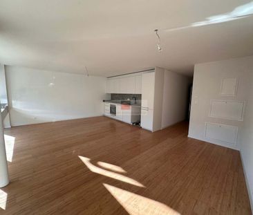 1.5 Zimmer, 37 m², 1. Stock - Photo 2