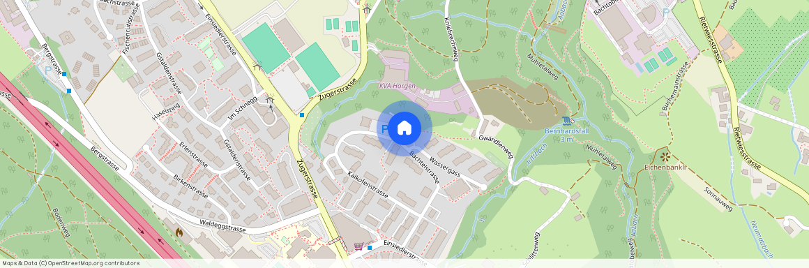 Bachtelstrasse 50, 8810, Horgen