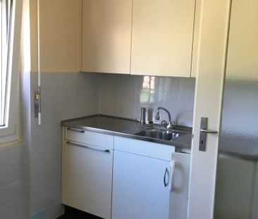 2 Zimmer, 49 m², 1. Stock - Photo 1