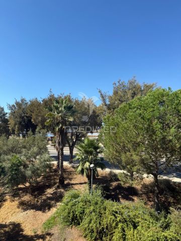 Apartamento T2+1 em Faro - Photo 4