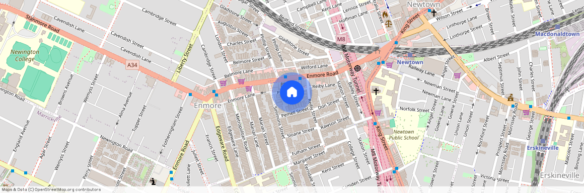 3/3 Pemell Lane, Newtown, NSW 2042