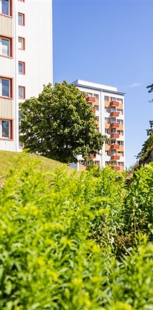 Tureborgsvägen 24 - Foto 1