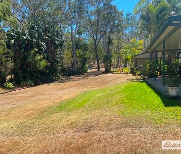 441 Bingham Road - Photo 2