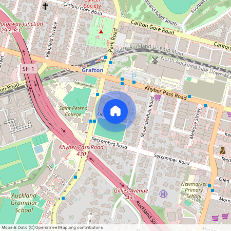 110/10 Lion Pl, Epsom, NZ 1051