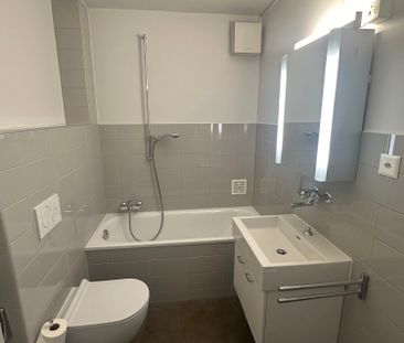 Appartement 2,5 pièces à louer - Photo 3