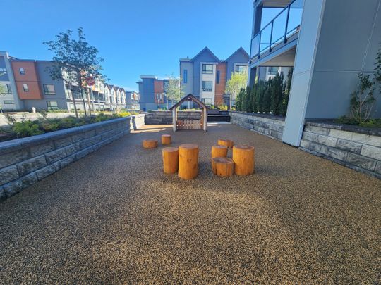 Stunning Brand New Two Bed, Two Bath Condo with AC in Mt Lehman Abbotsford - Photo 1