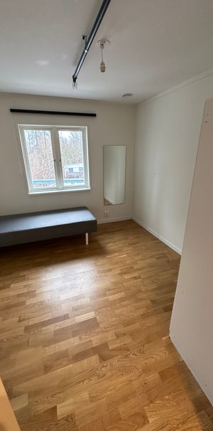 Polarvägen, Vega - Foto 1