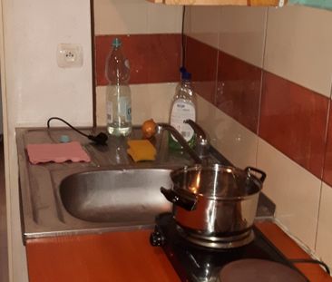 mazowieckie, Warszawa, Wawer, Marysin Wawerski, Rolnicza - Photo 1