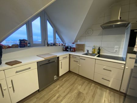 Location Appartement 3 pièces 55m² ST LOUIS 68300 - Photo 3