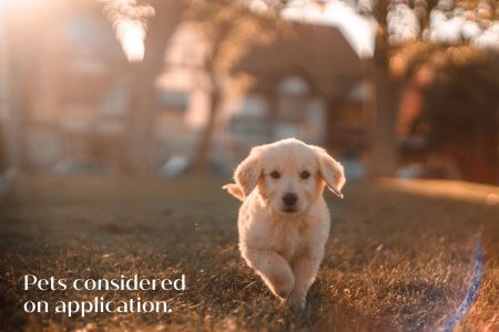 Three Bedroom Home - Photo 3