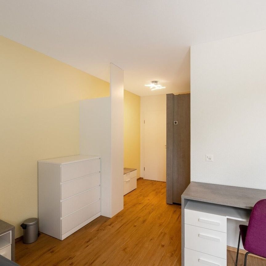 Three furnished single rooms for rent - Photo 1