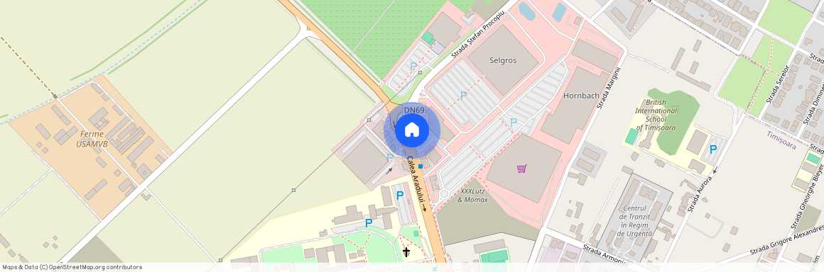 Timisoara