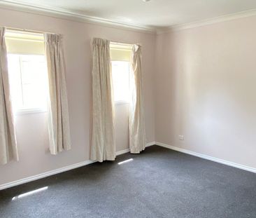 Paradise on Park - Photo 5