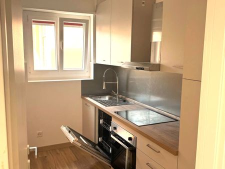 Viganello: appartamento ristrutturato 3.5 locali con terrazza - Foto 3