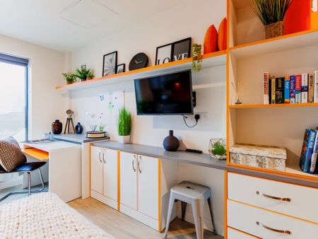 Classic Studio - Photo 5