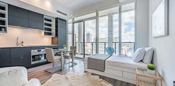 Elegant 1 Bed, 1 Bath with City Views and Private Entrance plus Air Co - Photo 2