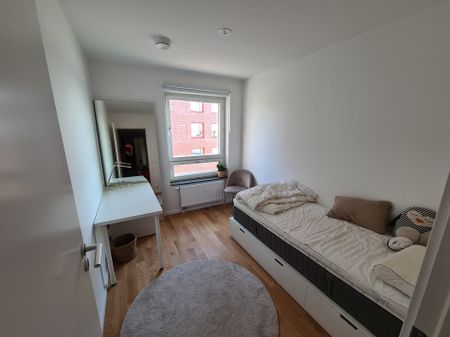 Packhusgatan, Limhamn - Photo 2