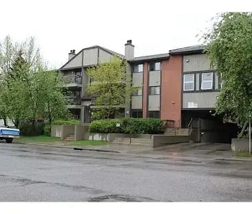 Large 2 Bedroom 1 Bath close to Station - Sept 1 2022 | SE - 13045 6 St SW, Calgary, AB T2W 5H1, Calgary - Photo 1