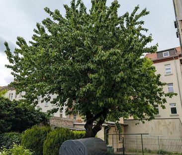 Pronájem bytu 2+1 • 60 m² bez realitky, Sasko - Photo 5