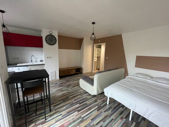 TOULOUSE/AUCAMVILLE -Studio meublé de 26m² avec loggia et parking couvert - Résidence calme et arborée., - Photo 1