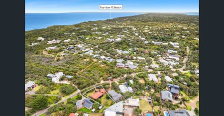 Private Oasis! - Photo 3