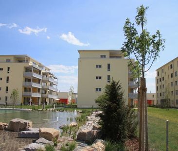 Moderner Ausbau - Grosszügige Räume - Photo 4