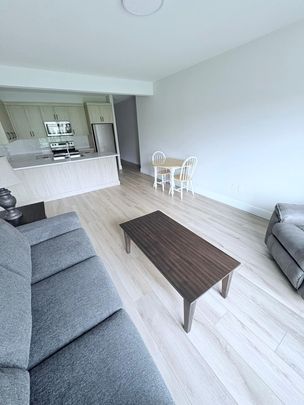 Brand New walkout in Black Mountain - Photo 1