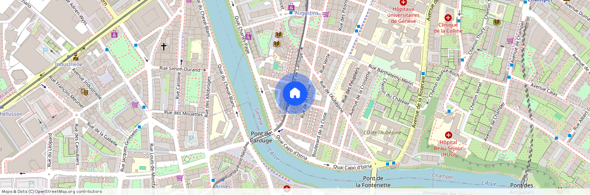 Rue de Carouge 87, Genève