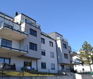 Mitten im Grünen beim Hörndlwald – Top Terrassenwohnung - Photo 1