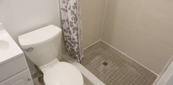 Downtown Toronto, College/Bathurst Basement room shared bath 800/Month - Photo 2