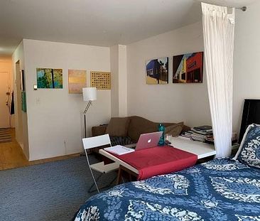 1 BED-RM STUDIO RENTAL /Kitsilano/Greektown/CAT FRIENDLY - Photo 1