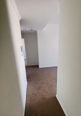 1 bed 1 bath - Photo 4
