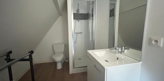 Location Appartement 1 pièce 11m² LAVAL 53000 - Photo 2