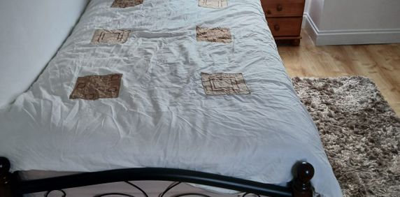 Loft room to let for single female only- Ilford - Photo 2