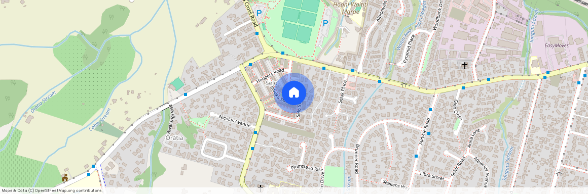 62 Selo Street, Glen Eden, Waitakere City