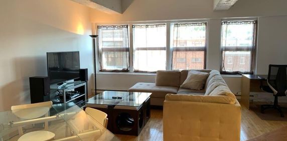 Disponible – Grand Loft 3 ½ tout inclus - Photo 2