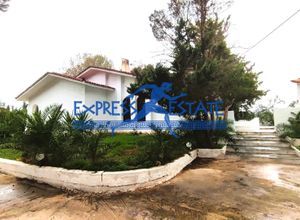 Μονοκατοικία για ενοικίαση - Μαραθώνας, - Photo 4