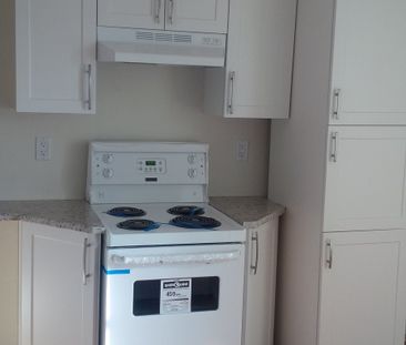 304 - 175 King Edward Avenue - Photo 3