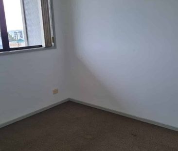 Spacious, sunny apartment - Photo 5